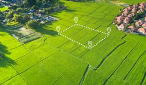 Sobha Upcoming Plotted Development Near Chikkatirupathi Off Sarjapur Road – Price, Location & Investment Insights (2026)