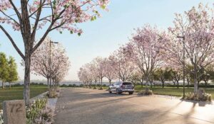 Planning to Buy Plots Near Sarjapur? Check Sobha’s Upcoming Project at Chikkatirupathi